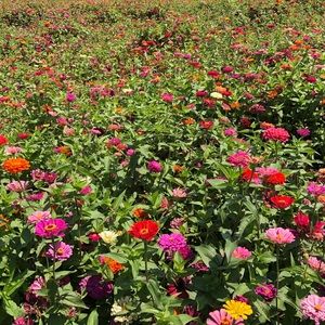 Meet your Posher, Mary kathryn